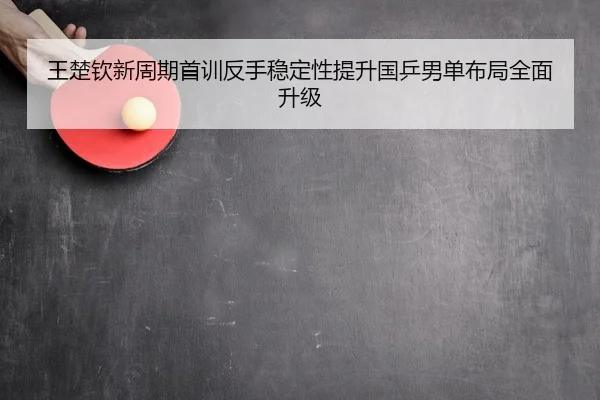 王楚钦新周期首训反手稳定性提升国乒男单布局全面升级