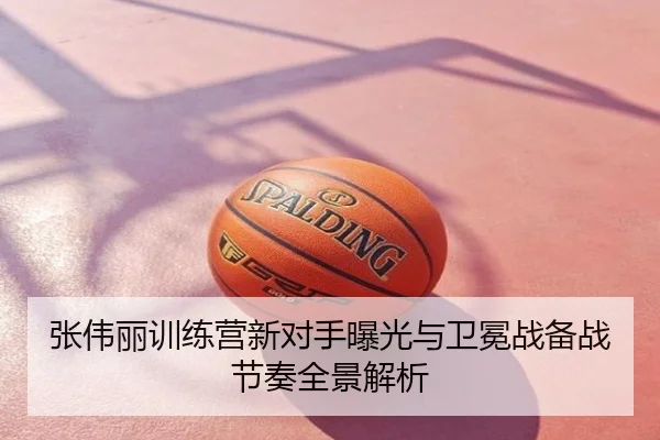张伟丽训练营新对手曝光与卫冕战备战节奏全景解析